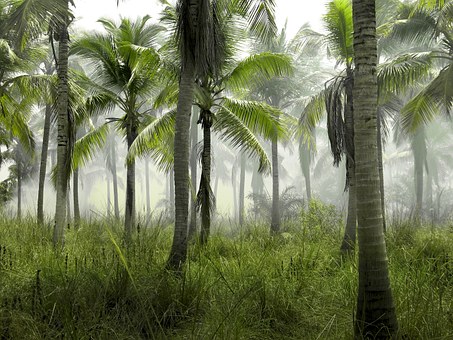 Fotografia di viaggio